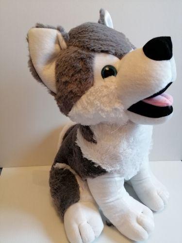 Bebe husky