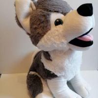 Bebe husky