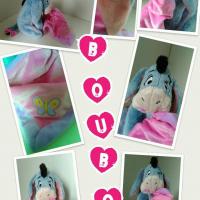 Boubou papillon