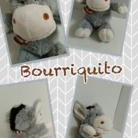 Bourriquito