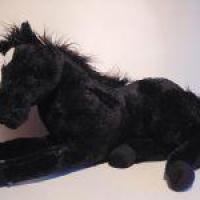 Cheval noir