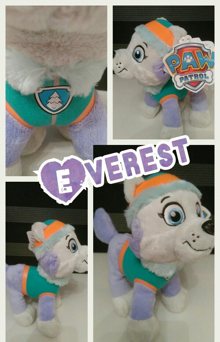 Everest