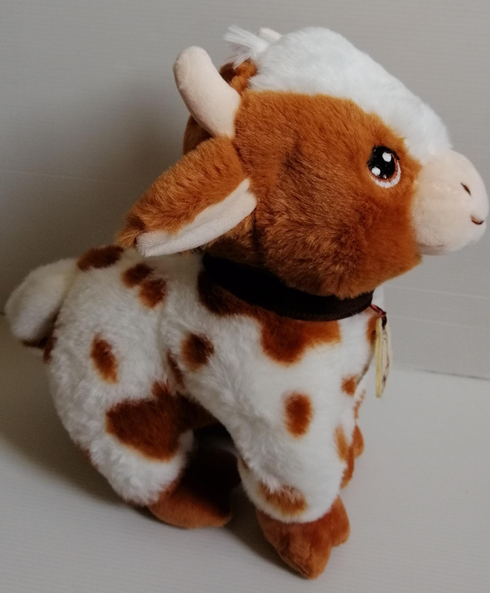 Img 20221019 113912 edit 475581148445138