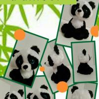 Panda 3 