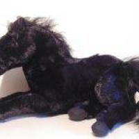 Petit cheval noir
