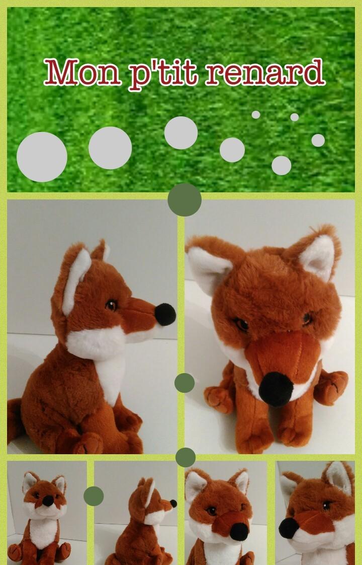 Renard