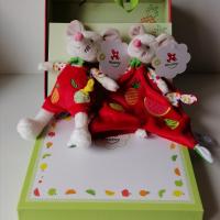 Souris 1