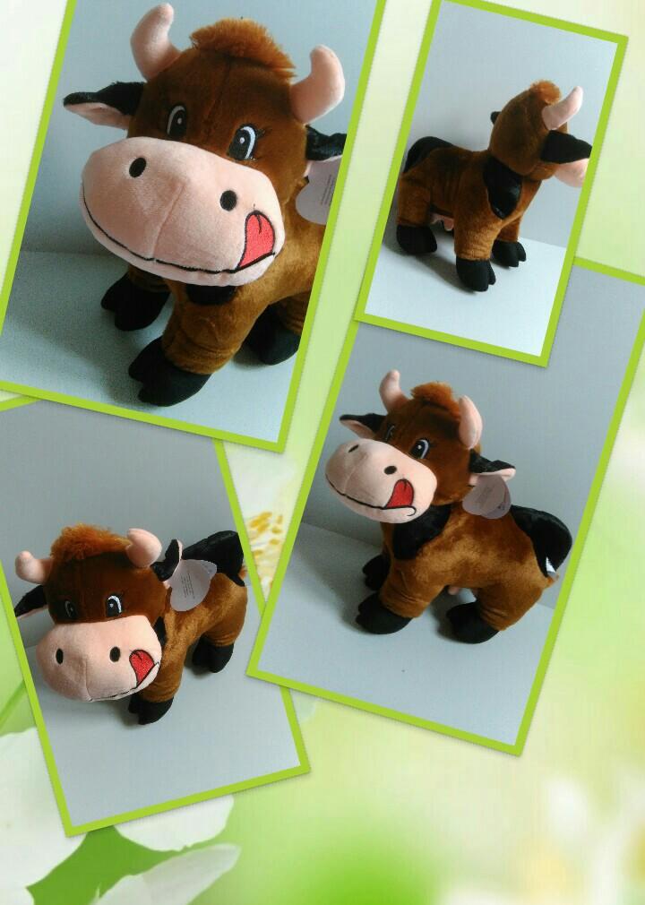 Vache marron 25